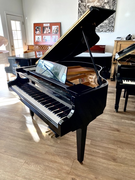 Hyundai G-50A Petit Grand Piano 4'7