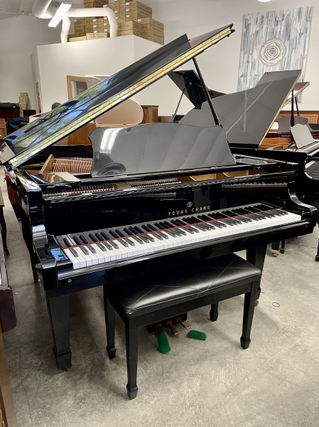 Young Chang G-175 Grand Piano 5'8