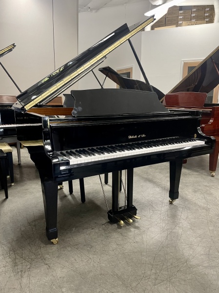 Bellville & Son Baby Grand Piano 5' Polished Ebony