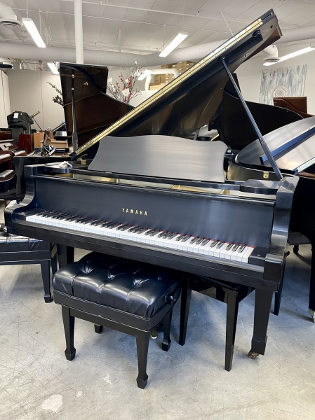 Yamaha C7 Semi-Concert Grand Piano 7'6