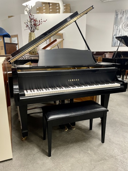 Yamaha C3 Grand Piano 6'1