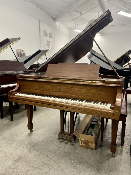 Steinway M Grand Piano 5'7