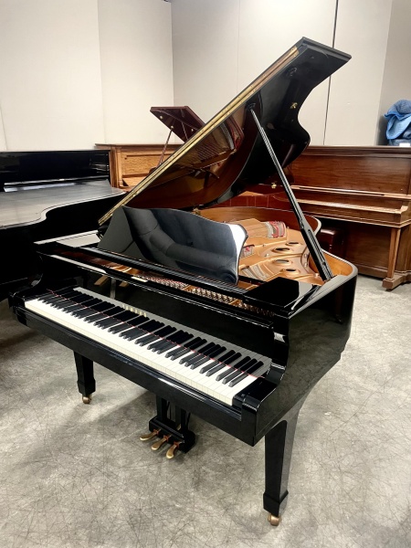 Yamaha C3 Grand Piano 6'1