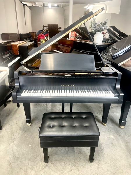 Yamaha No. G5 Grand Piano 6'5