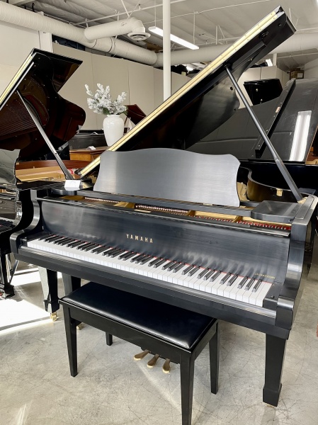 Yamaha C3 Grand Piano 6'1