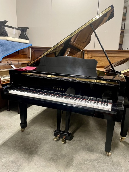 Yamaha G5 Grand Piano 6'5
