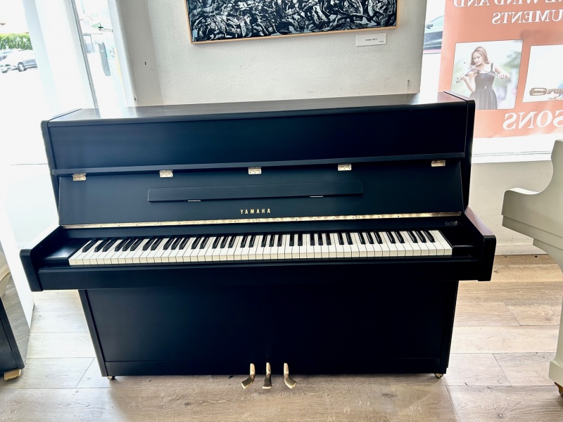 Yamaha P2 45