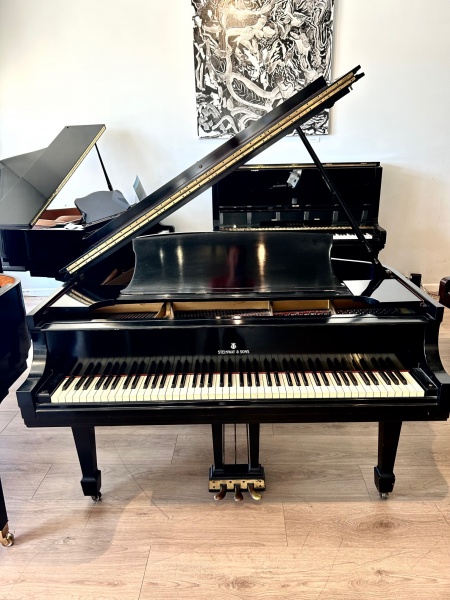 Steinway M Satin Ebony 5'7