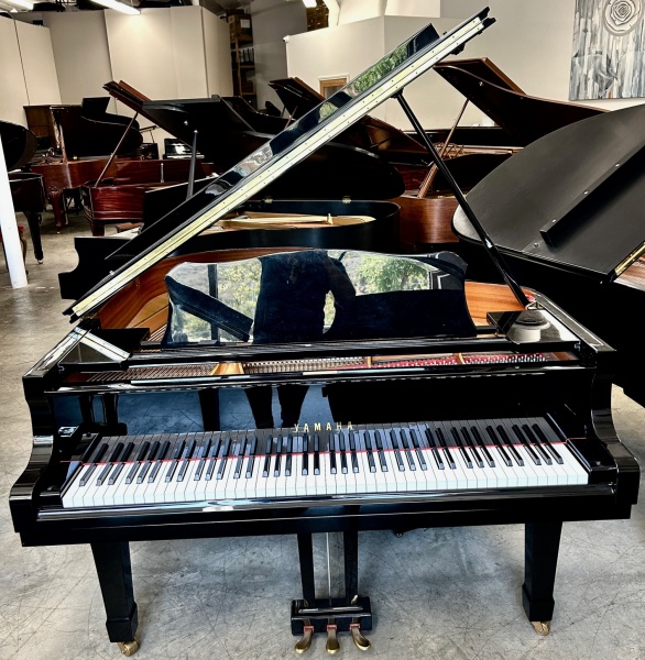 Yamaha C1 Grand Piano 5'3