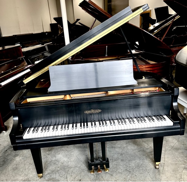 Chickering Grand Piano 6'1