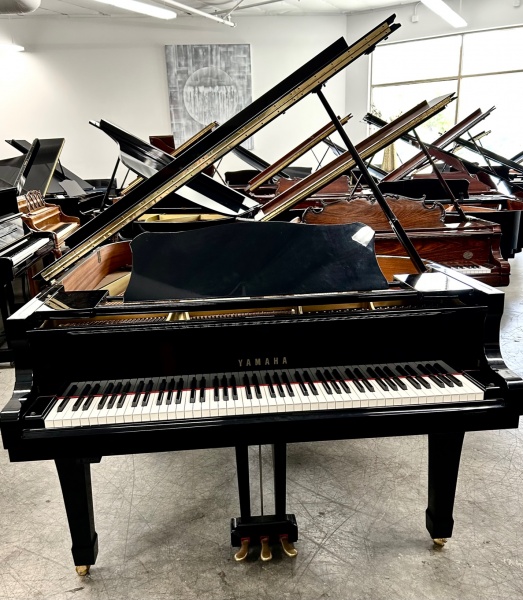 Yamaha C3 Grand Piano 6'1