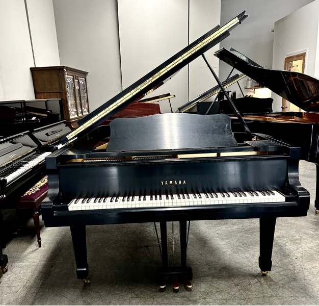 Yamaha C7 Grand Piano 7'4