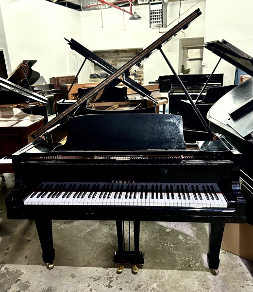 Yamaha NO.G3 Grand Piano 6'1