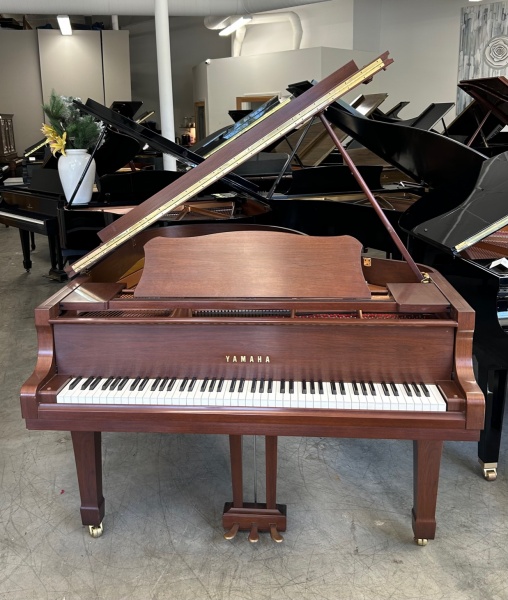 Yamaha C3 Grand Piano 6'1