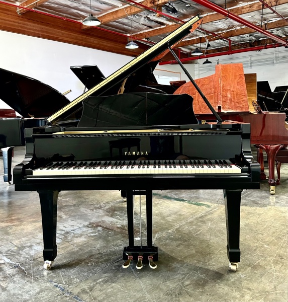Yamaha C5 Grand Piano 6'7