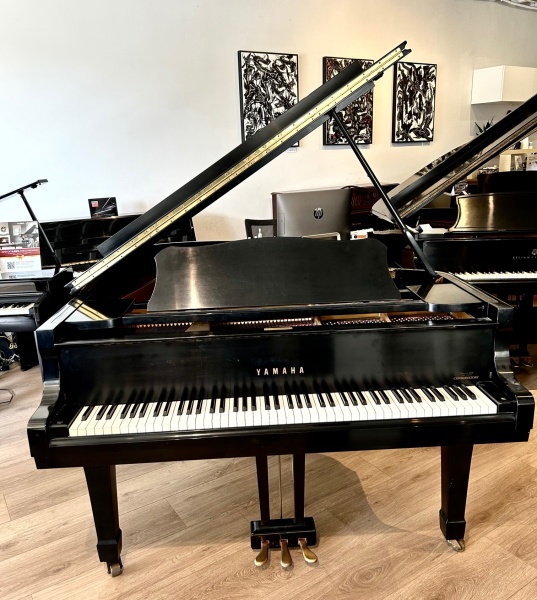 Yamaha C3 Grand Piano 6'1