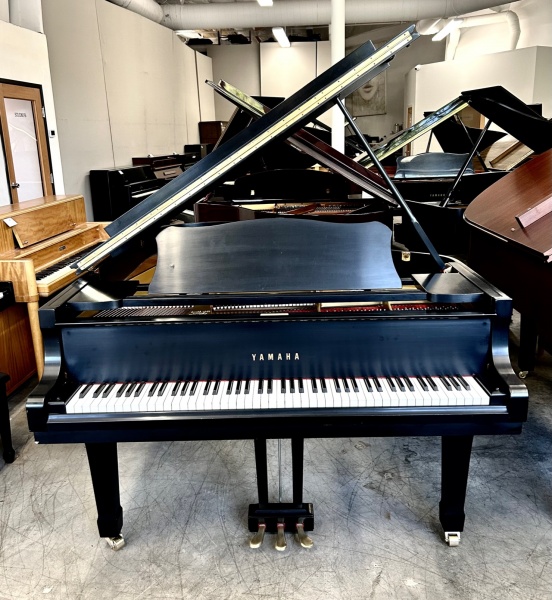 Yamaha C3 Grand Piano 6'1