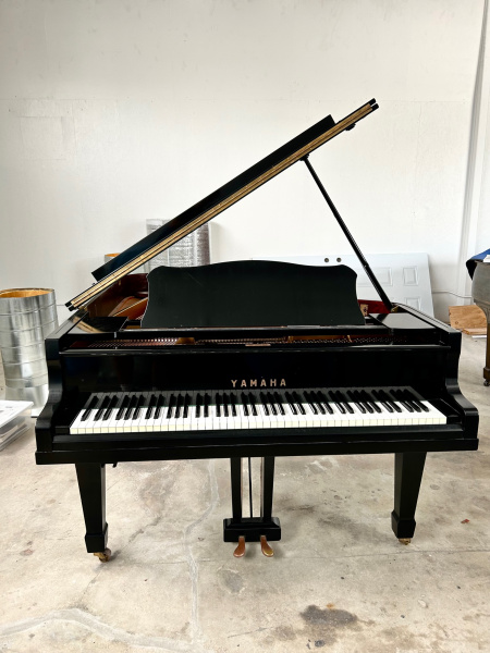 Yamaha NO.G3 Grand Piano 6'1
