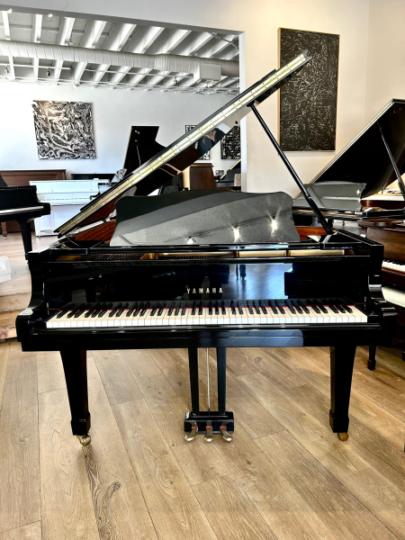 Yamaha C3 Grand Piano 6'1