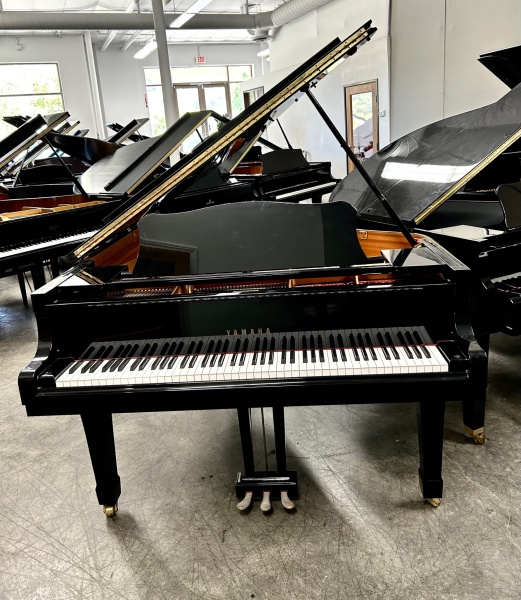 Yamaha C2 Grand Piano 5'8