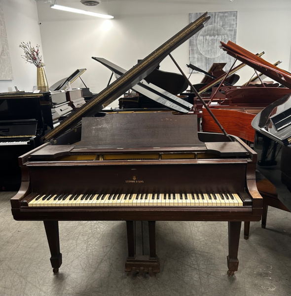 Steinway M Grand Piano 5'7