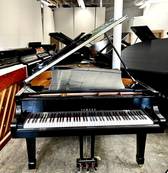 Yamaha C1 Grand Piano 5'3