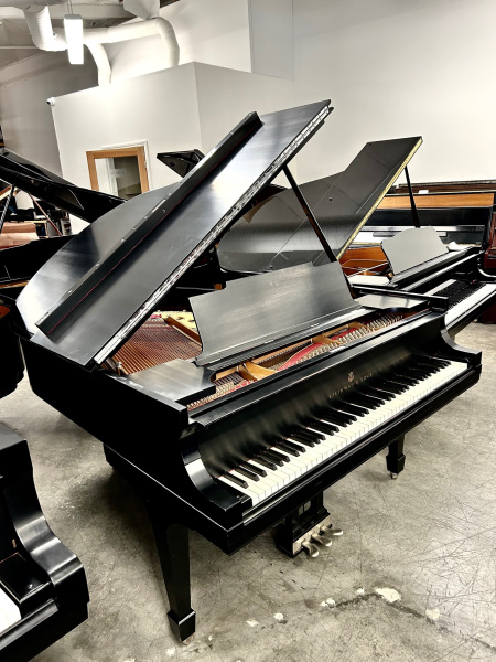 Steinway M Grand Piano 5'7