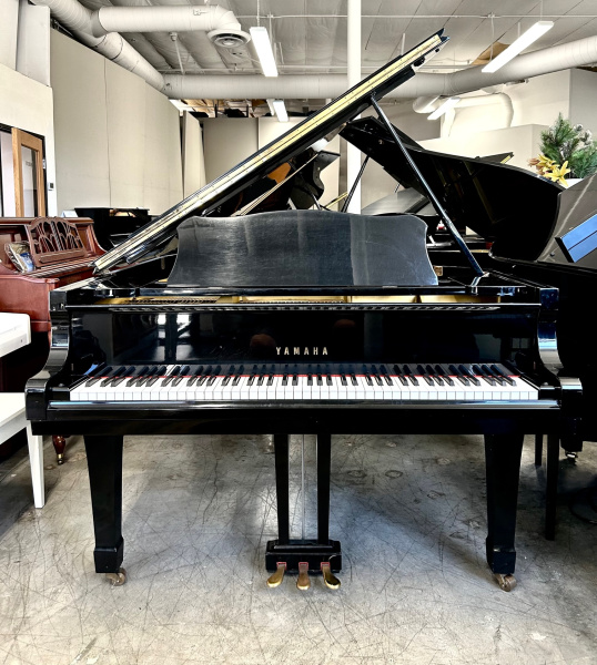 Yamaha C3 Grand Piano 6'1