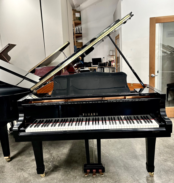 Yamaha C3 Grand Piano 6'1